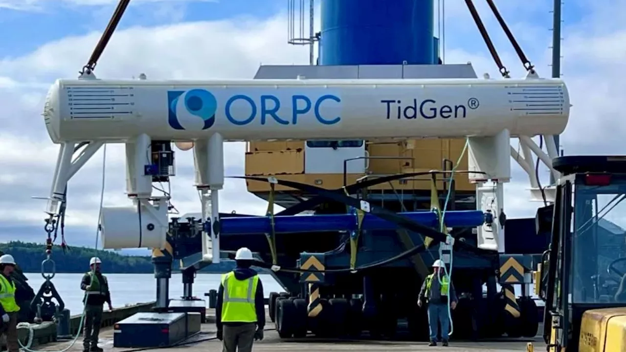 Tidal turbine’s eco-friendly operation keeps 100 million salmon safe from harm