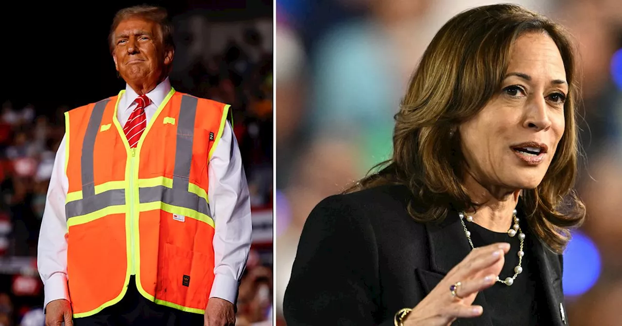 Kamala Harris brands Trump 'offensive' in feisty rant at US election rally