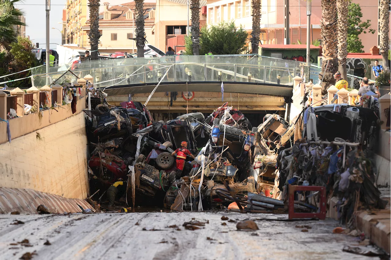 Spain floods: Death toll rises to 205 as Valencia opens temporary morgue