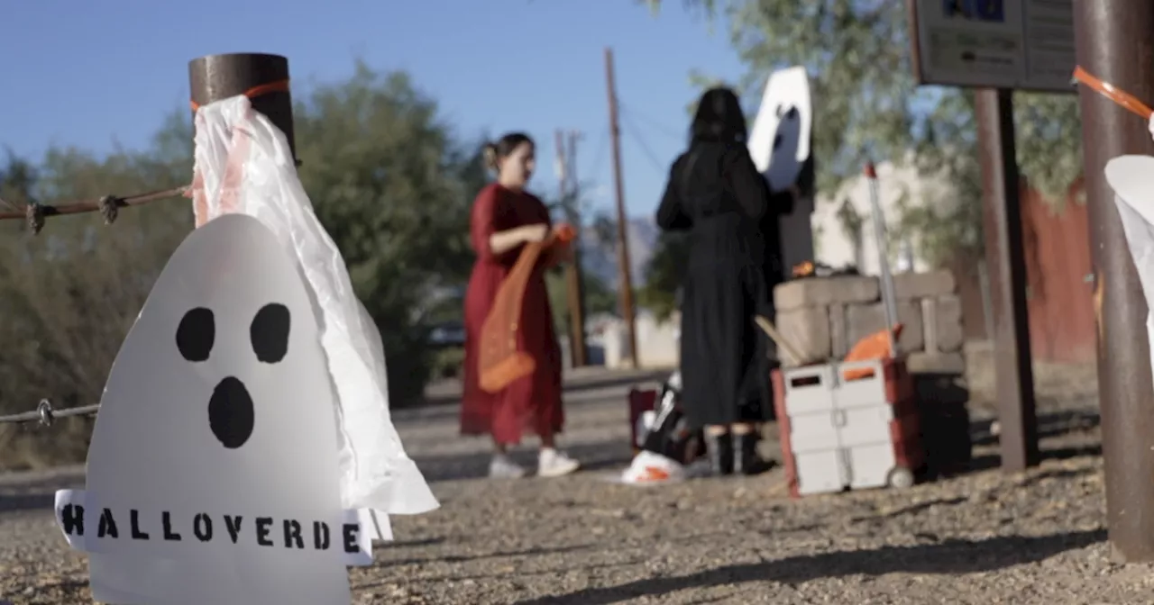 Happy 'Palo-ween' in Palo Verde