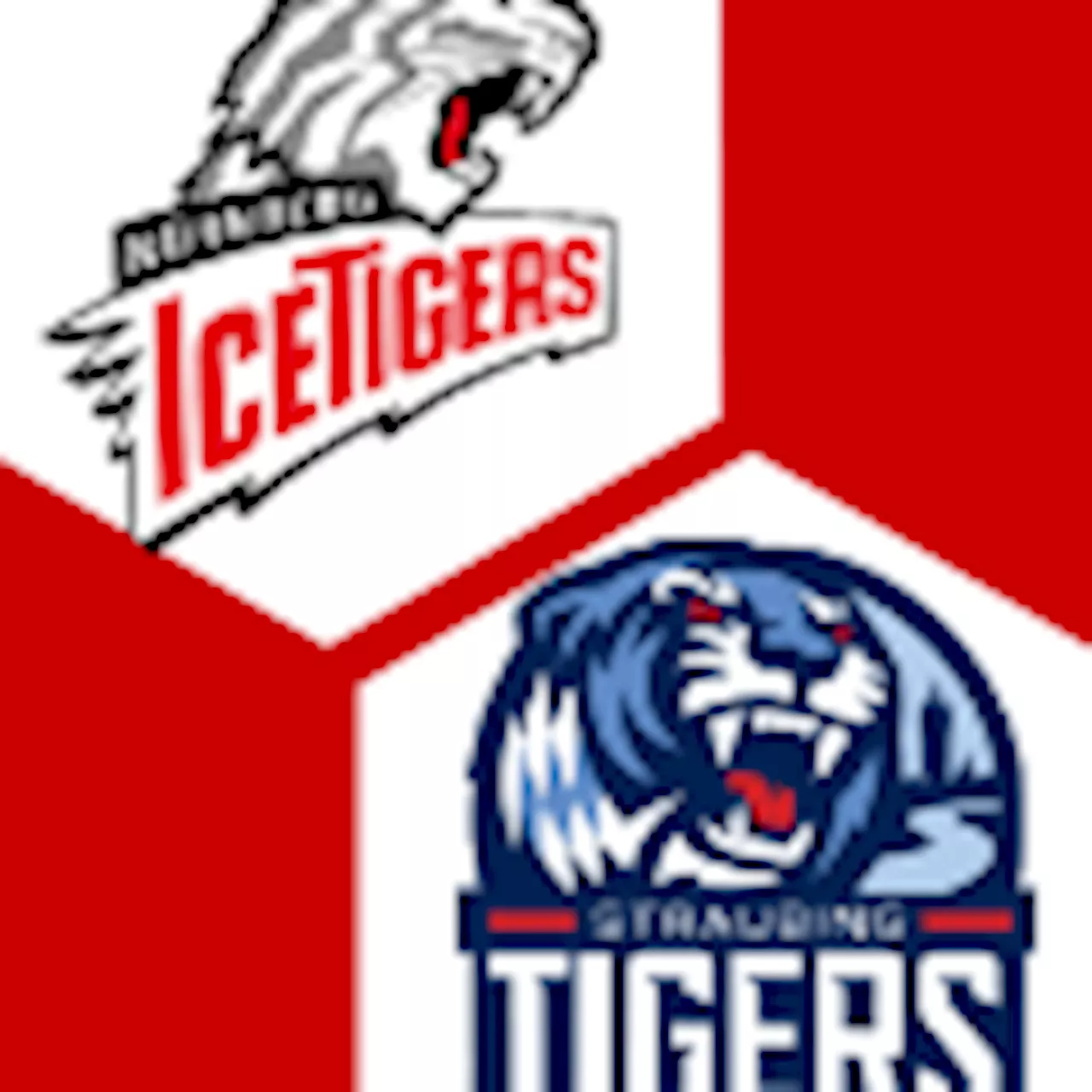 Straubing Tigers 0:0 | 14. Spieltag | Deutsche Eishockey-Liga 2024/25