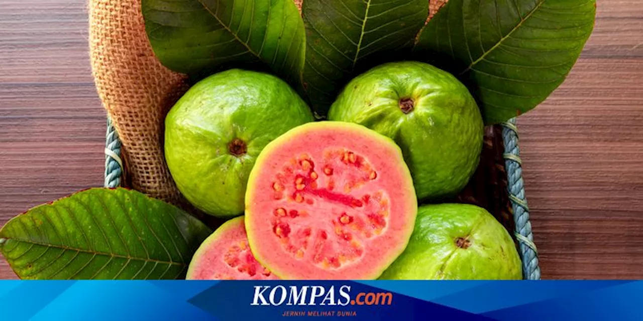 8 Manfaat Kesehatan Jambu Biji, Bisa Tingkatkan Imun