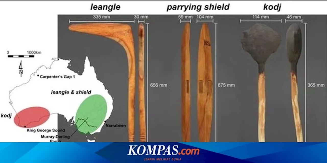 Ini Alasan 2 Senjata Ikonik Suku Aborigin Australia Cukup Mematikan