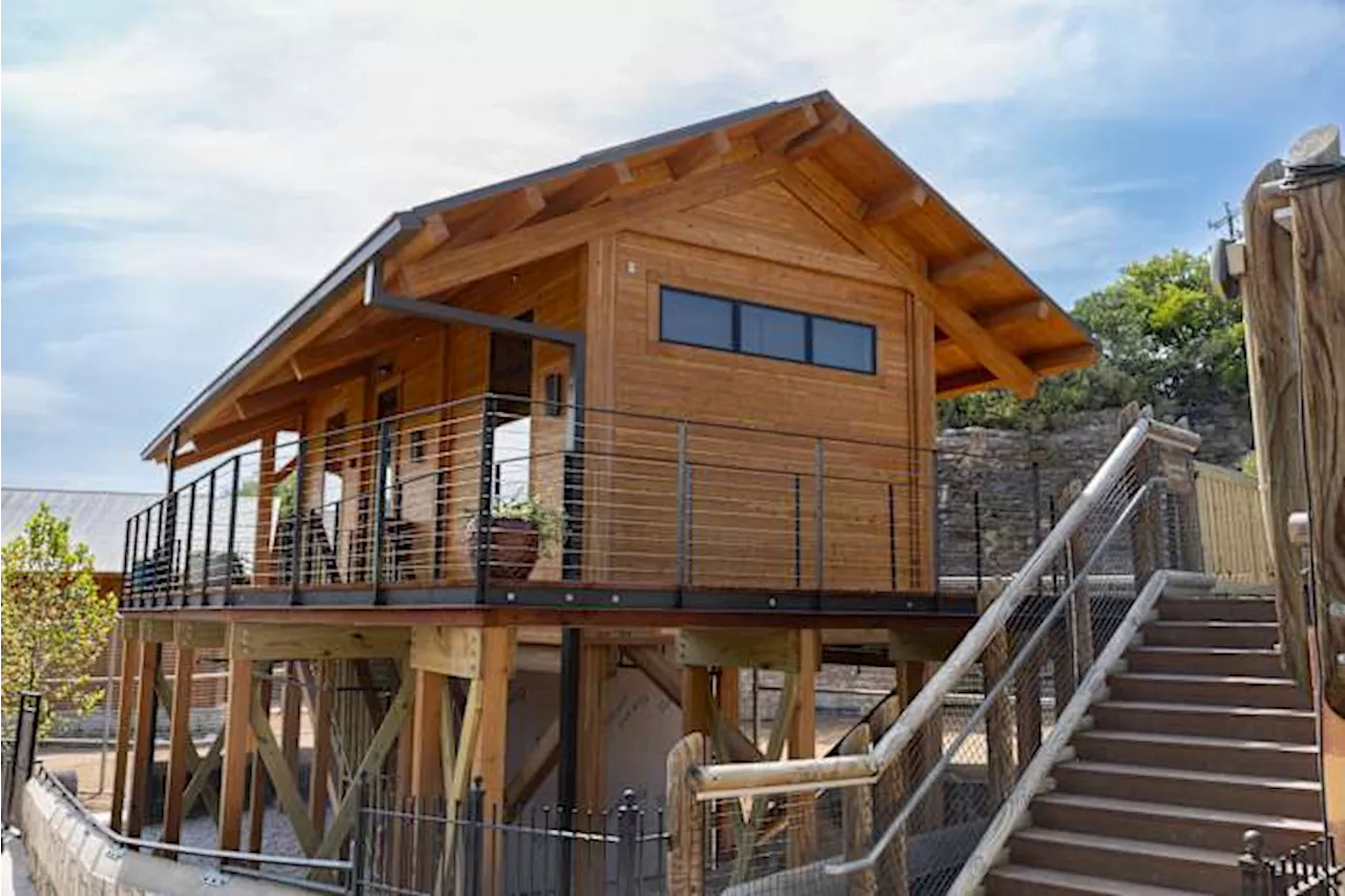 San Antonio Zoo opens Spekboom Lodge for overnight stays