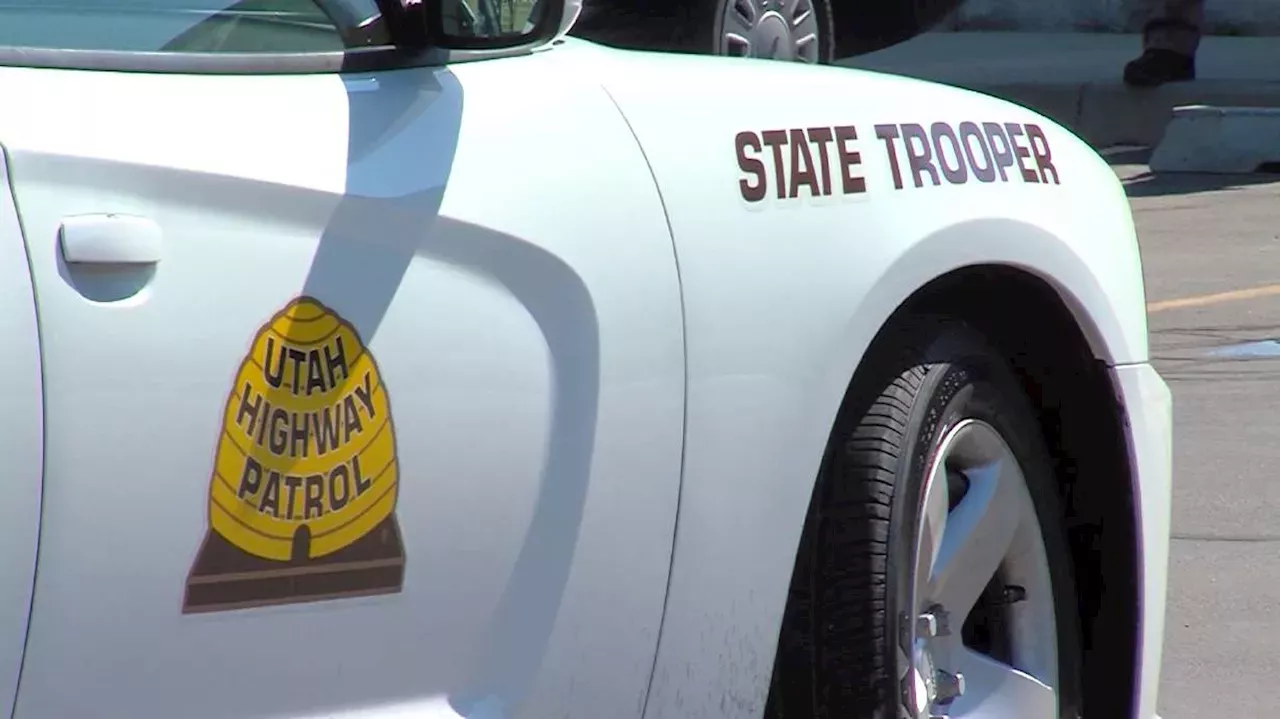 UHP increasing presence on roads during Halloween weekend to stop DUI