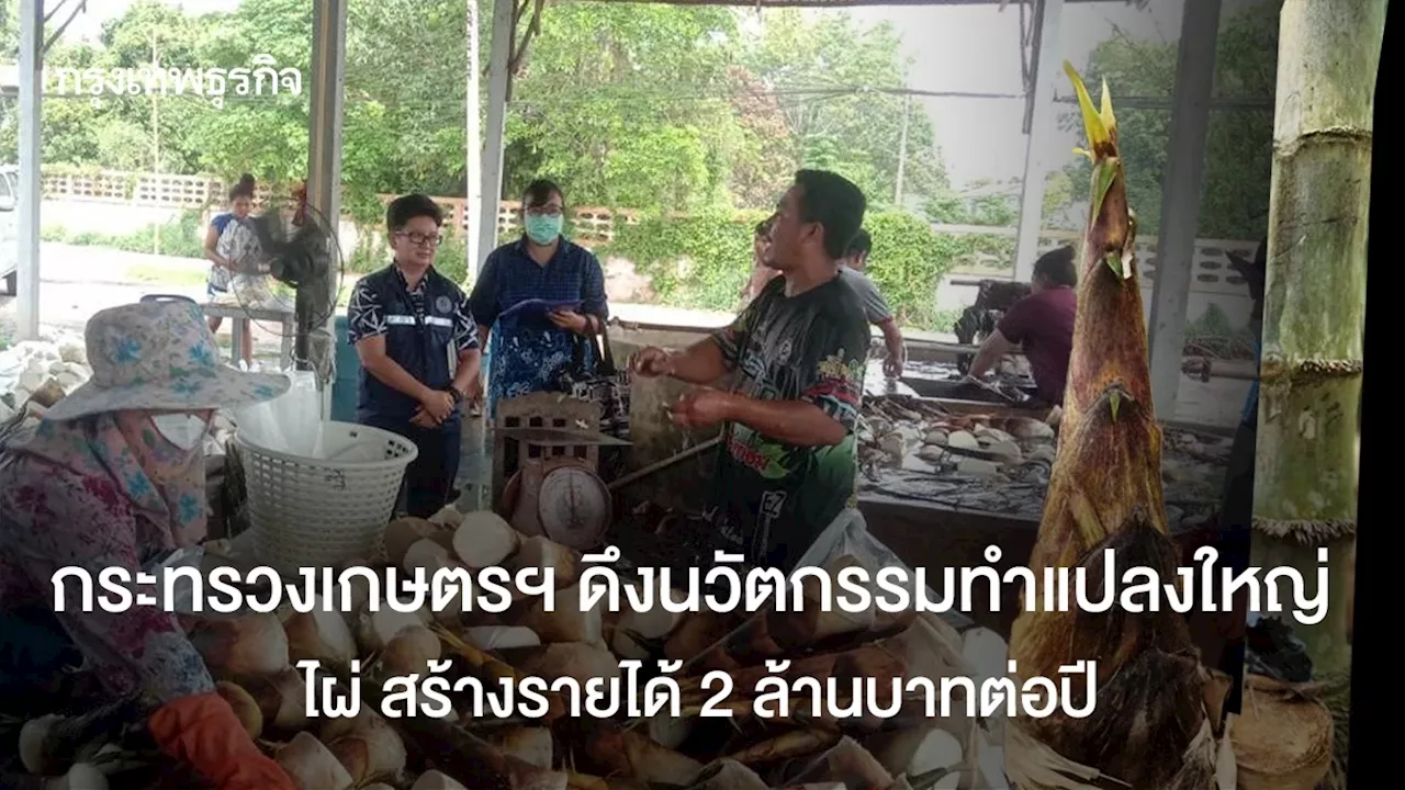 กระทรวงเกษตรฯ ดึงนวัตกรรมทำแปลงใหญ่ ไผ่ สร้างรายได้ 2 ล้านบาทต่อปี