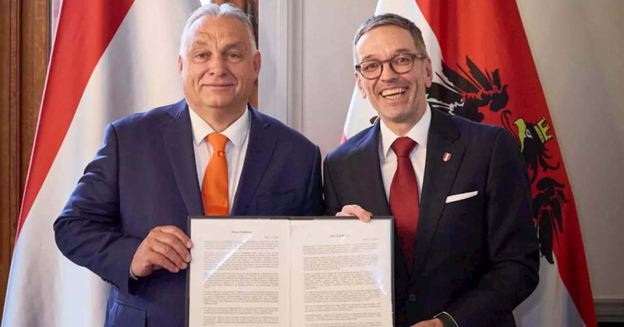 'Amtsanmaßung': Empörung über Pakt von Kickl und Orbán