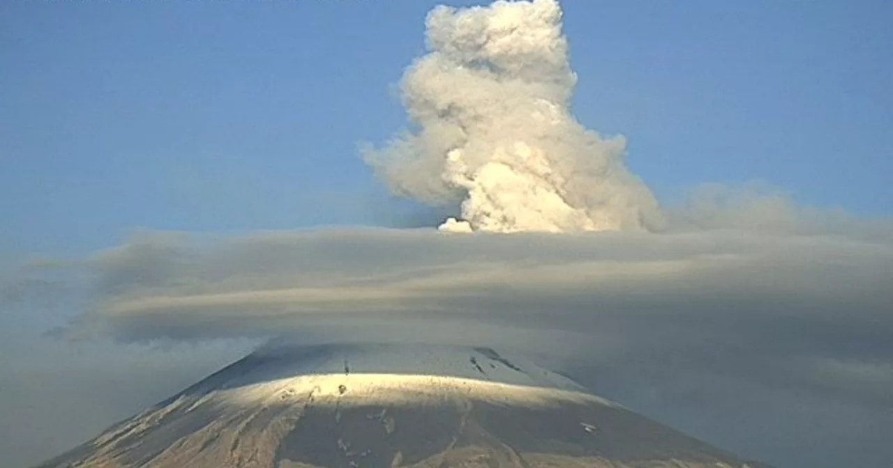 Popocatépetl emite IMPACTANTE fumarola; alertan por caída de ceniza en estos estados