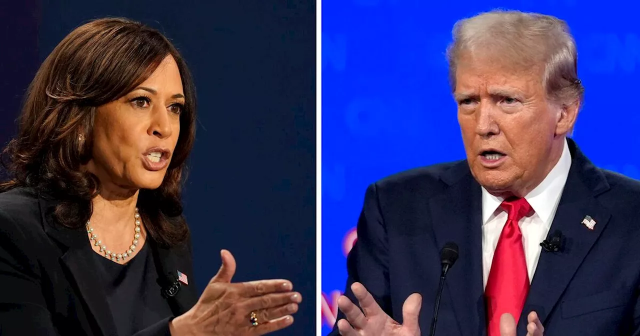 Donald Trump o Kamala Harris: quien va ganando las elecciones de EE.UU., según las encuestas