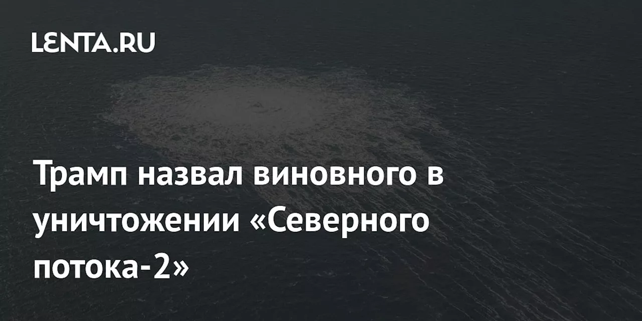 Трамп назвал виновного в уничтожении «Северного потока-2»