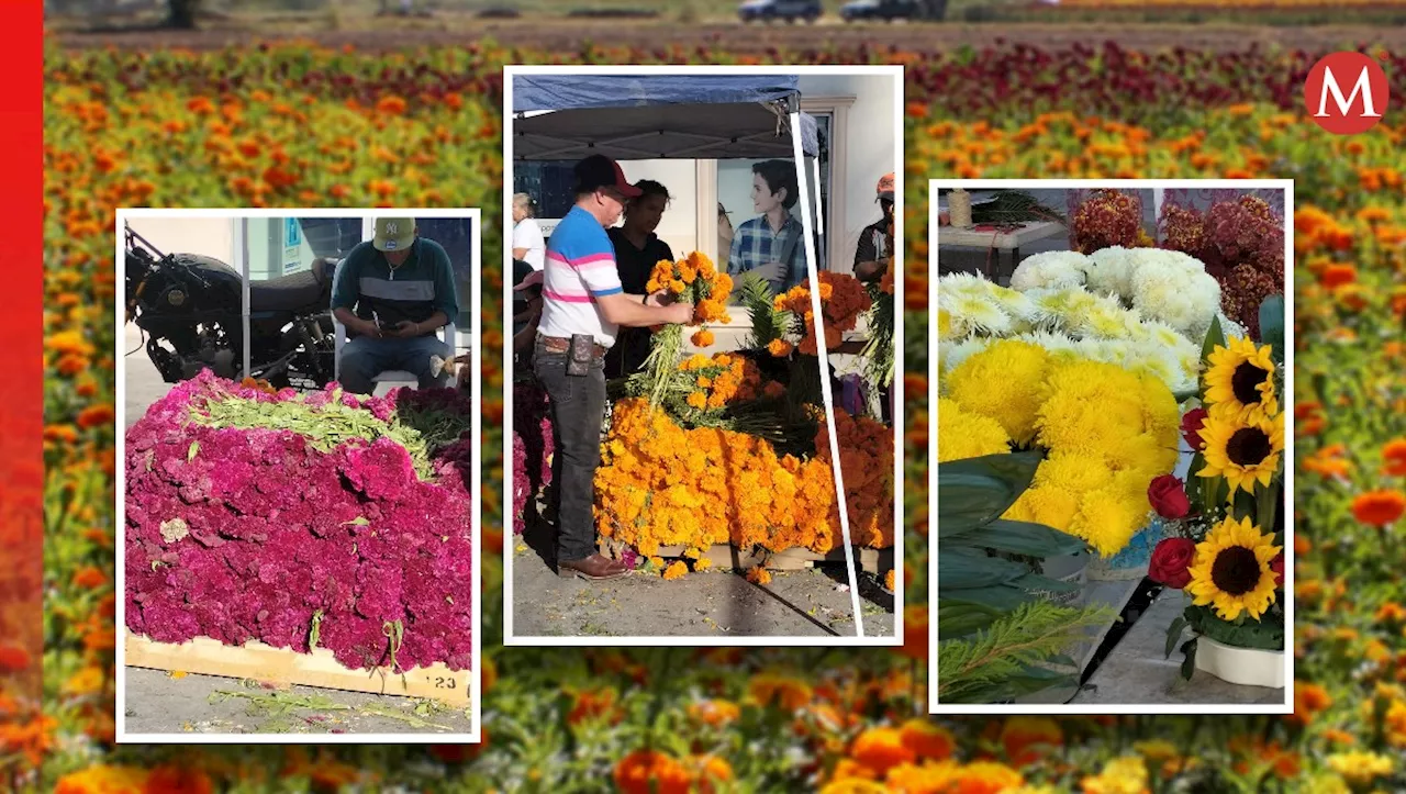 Inician celebración del Día de Muertos con compra de flores en Coahuila