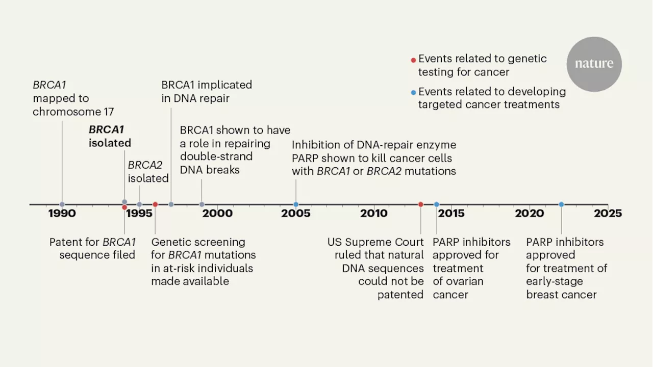 Thirty years since the race to the BRCA1 gene