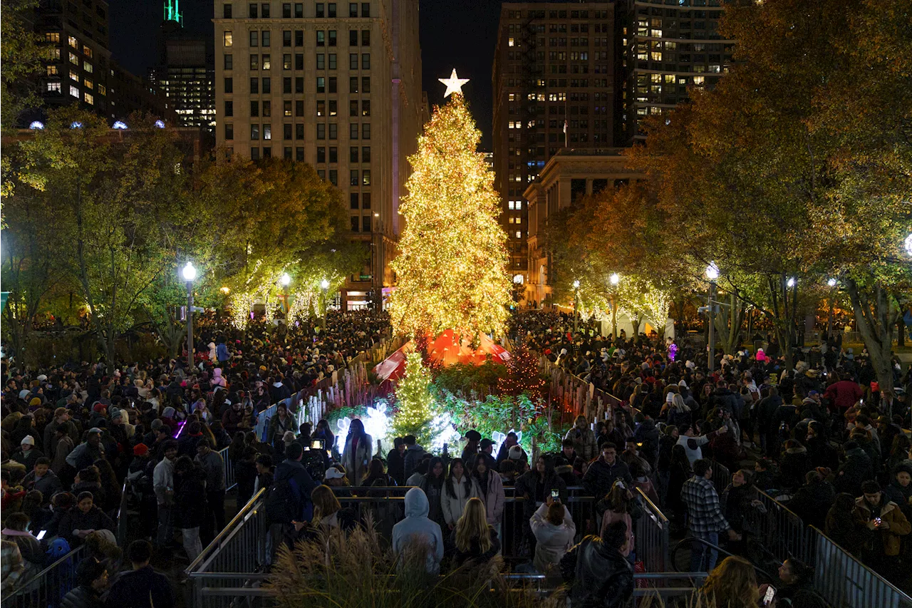 53-foot tree from historic home to become Chicago's 111th ‘official' Christmas tree