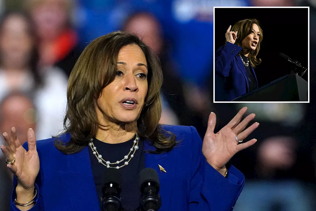 Flustered Kamala Harris spews latest word salad after protesters interrupt Nevada rally 