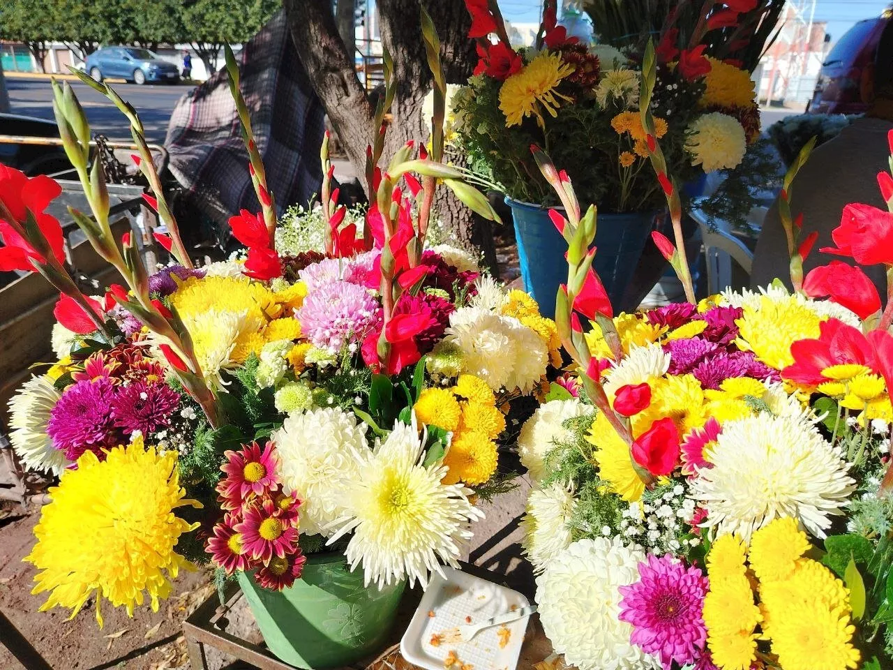 Sube precio de las flores en Salamanca ¿Cuánto aumento?