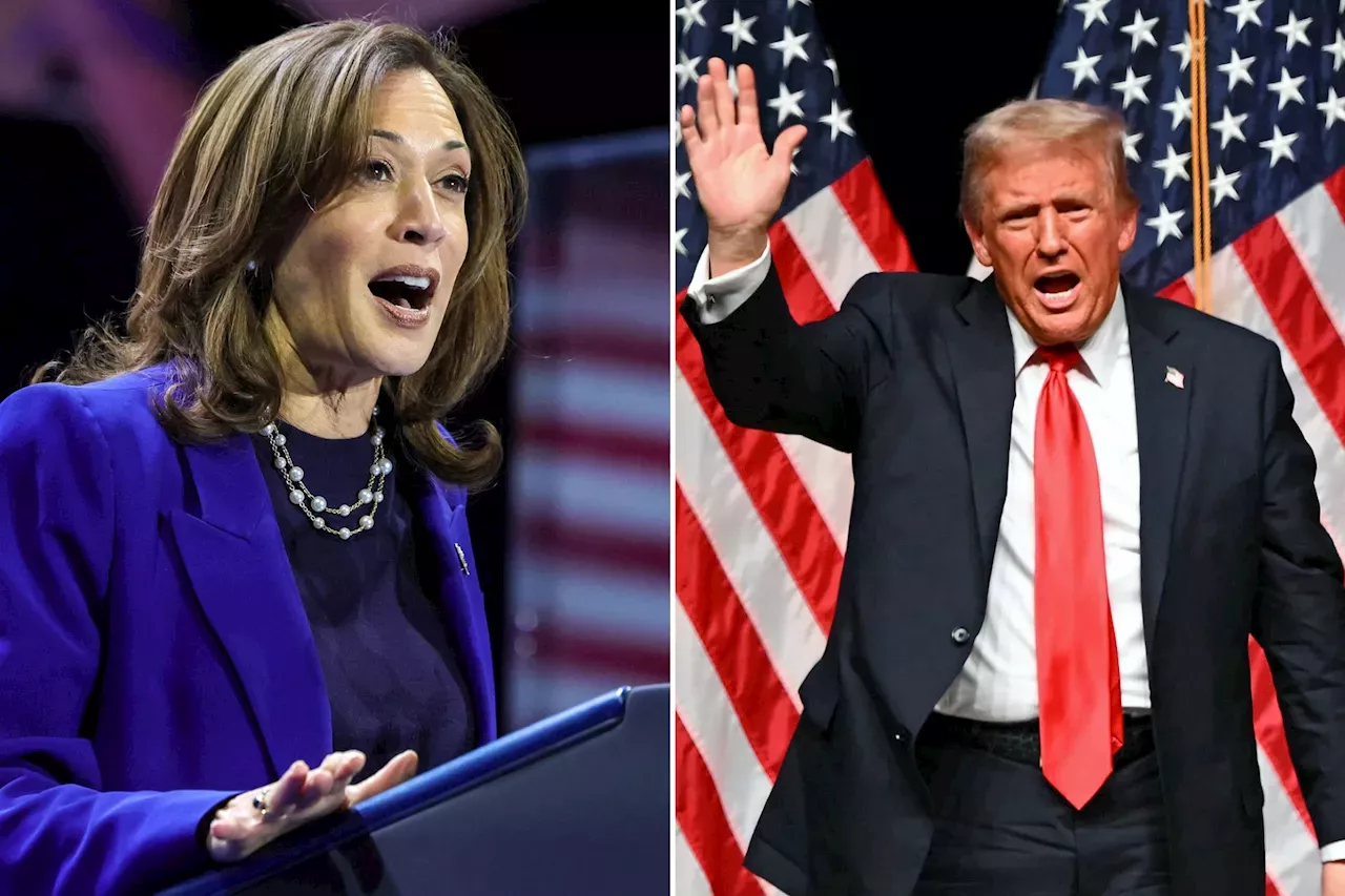 Élection Américaine : Trump Ou Harris ? Les Résultats Des Sondages à J ...