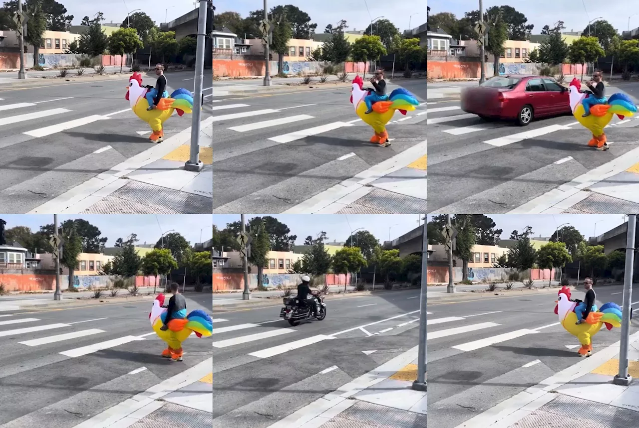 SFPD ‘chicken’ crosswalk sting broke right-wing trolls’ brains