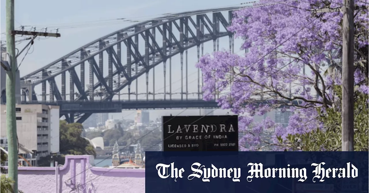 Purple Rain and Yackandandah: The winners of the Herald’s jacaranda poetry contest