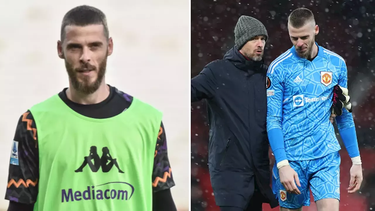 David de Gea sends another 'message' to Erik ten Hag after Man Utd sacking and it's got fans talking