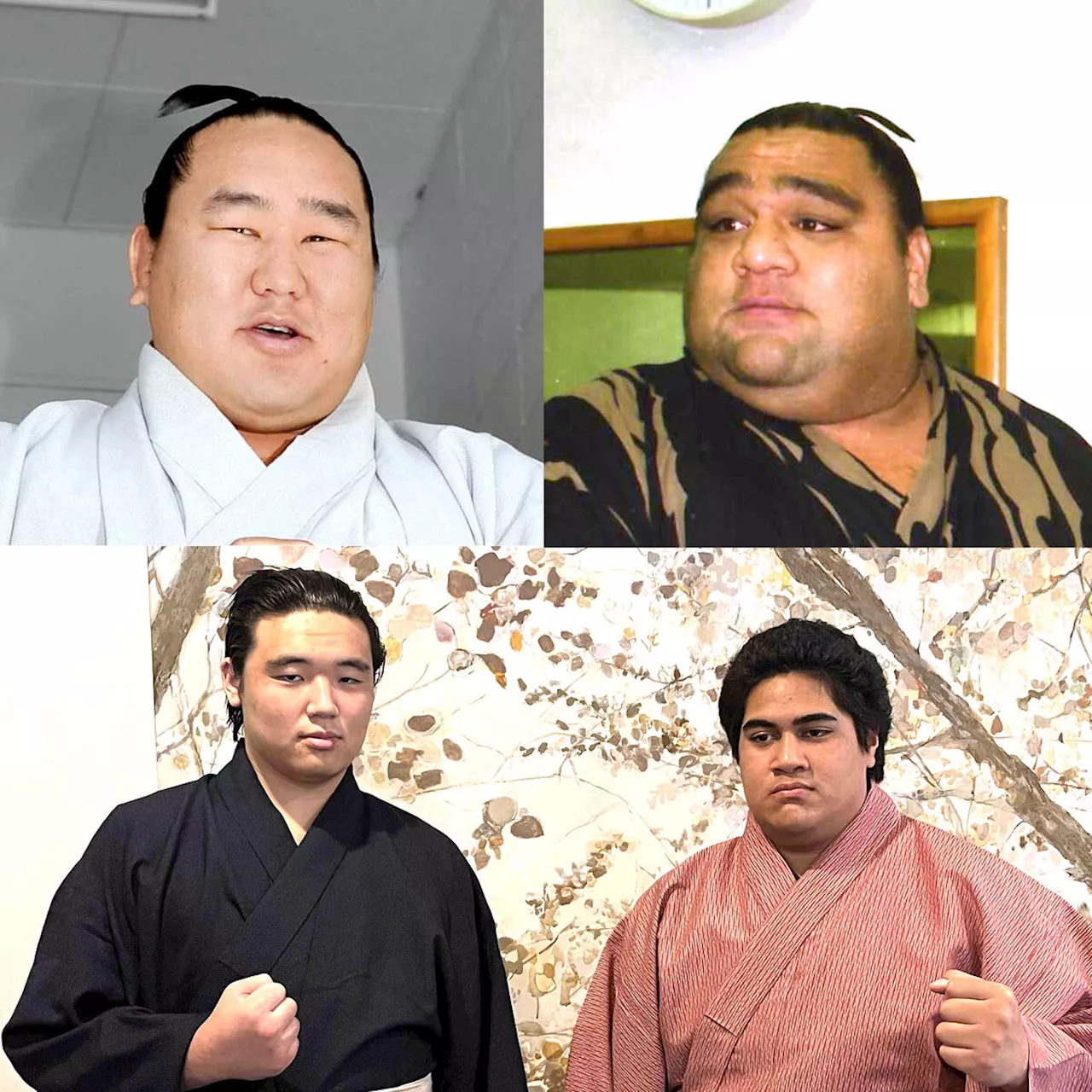 朝青龍おいで豊昇龍いとこが新弟子検査受検 叔父から「頑張れ」エール 元横綱・武蔵丸おいも