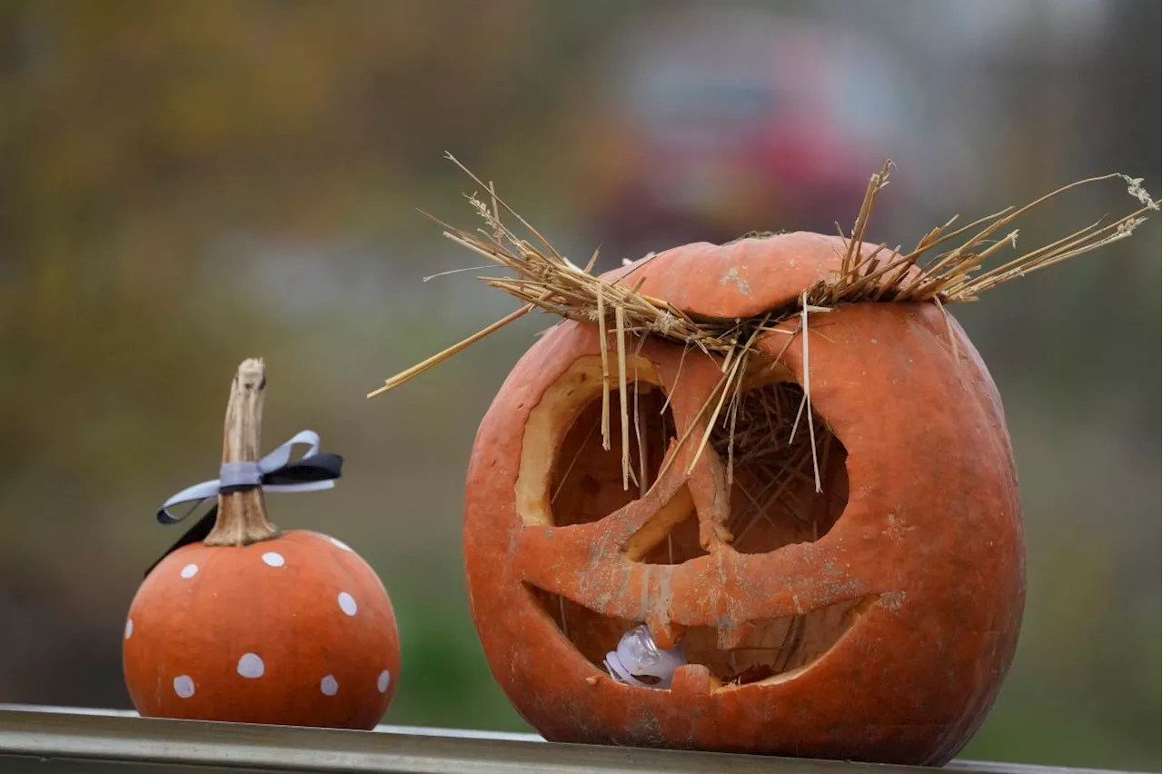 Fraudsters are cooking up scary online scams around Halloween