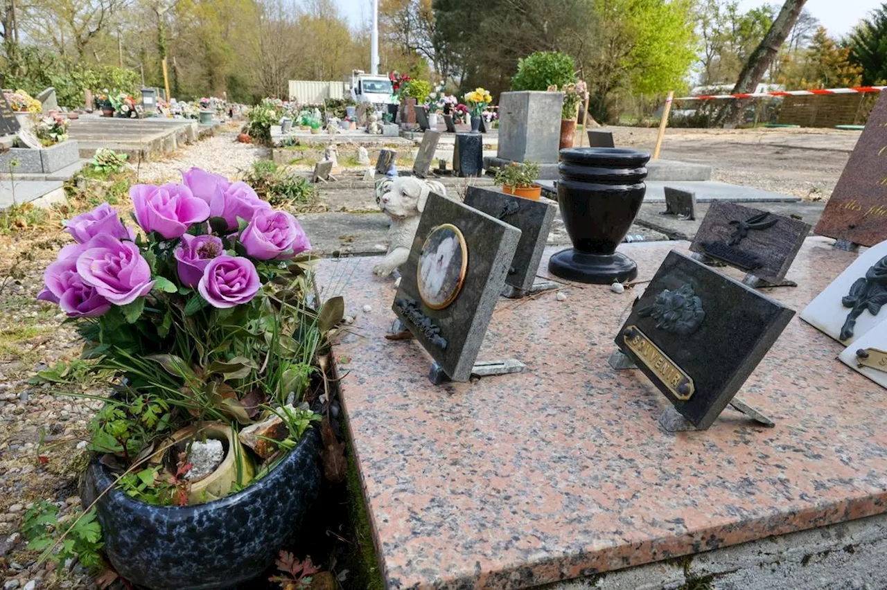 Toussaint des animaux : petite histoire du cimetière animalier de Cadaujac en Gironde