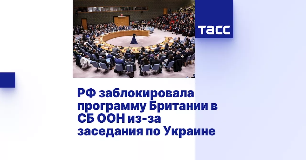 РФ заблокировала программу Британии в СБ ООН из-за заседания по Украине