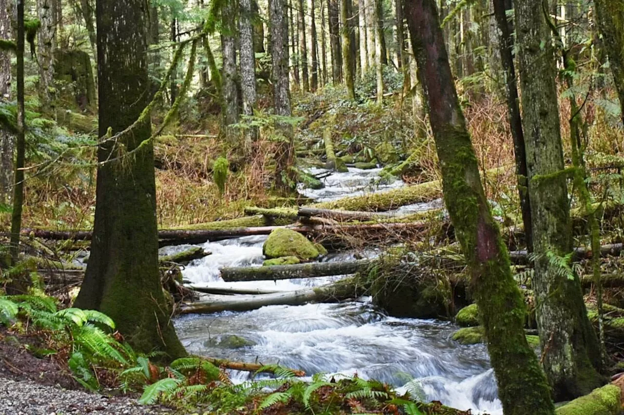 B.C.’s storm-ravaged Golden Ears Park to remain closed indefinitely