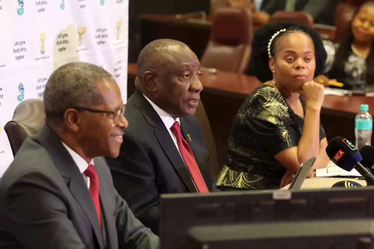 From avocados to minerals: Ramaphosa calls on provinces to build on their strengths