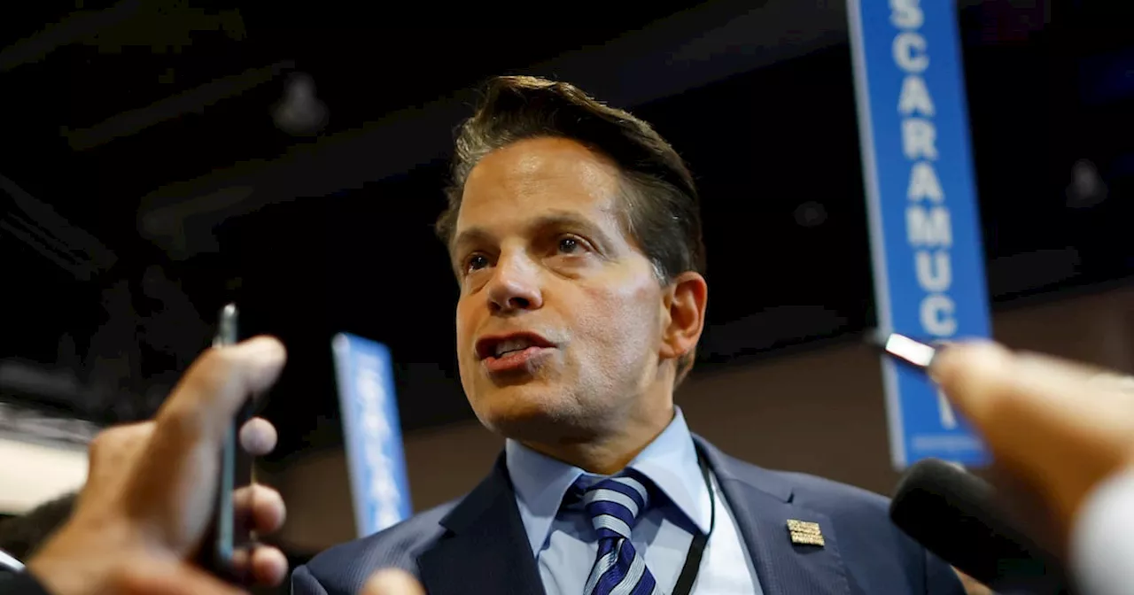 ‘Immense Human Cruelty’: Anthony Scaramucci Torches Trump and Endorses Harris