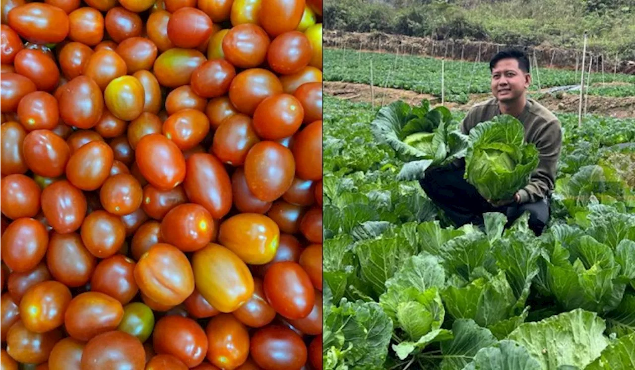 Not Even 30 And This Kelantan Farmer Is Raking In RM400k Monthly