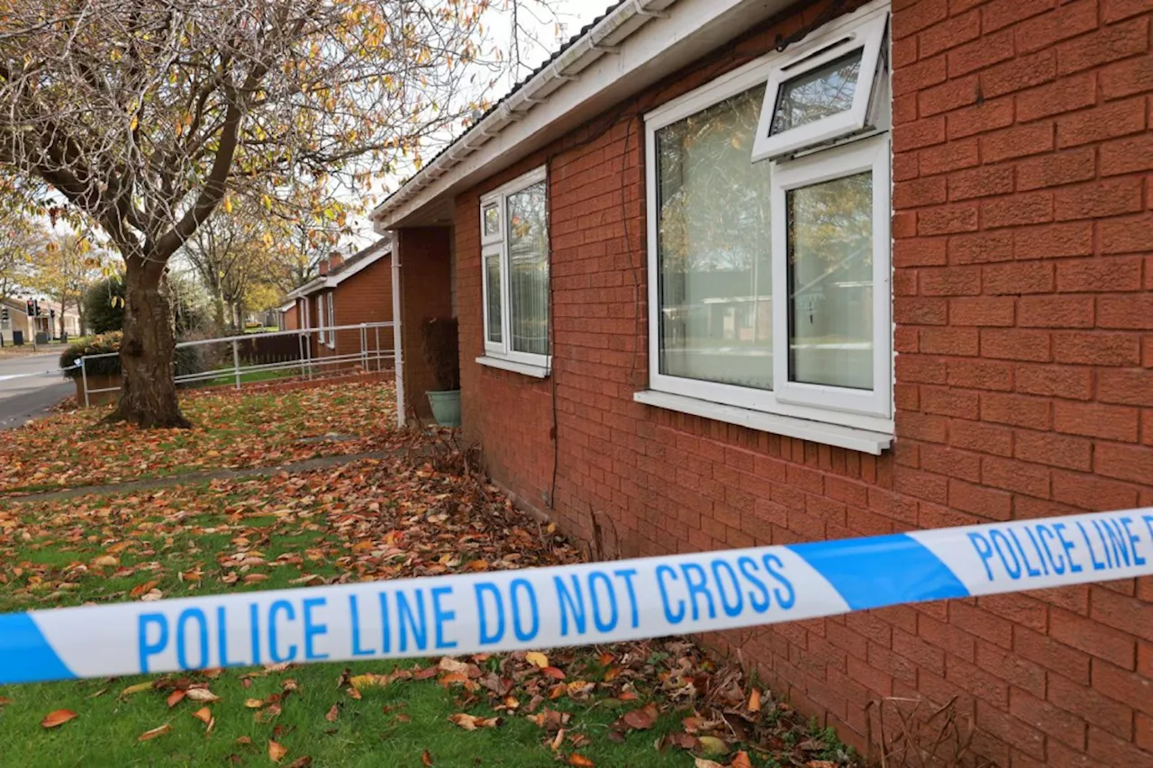 Schoolboy arrested after woman in 60s and man in 70s stabbed at home...