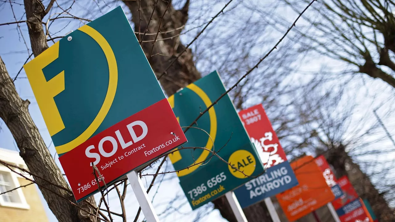 UK house price growth slows in October ahead of stamp duty change which will ‘dampen demand’ says Nat...