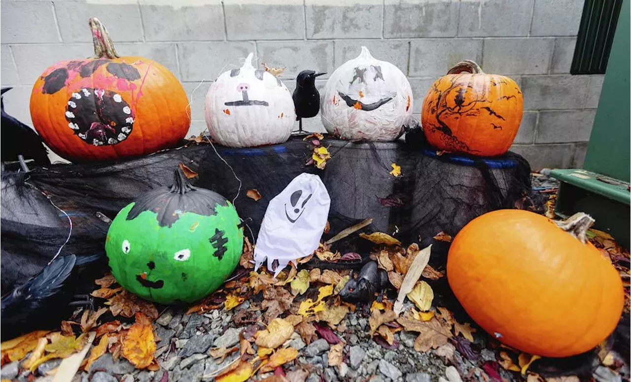 Smash 'em, bowl 'em or crush 'em, but don't leave your pumpkins for the