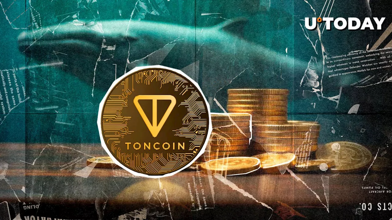 Toncoin (TON) Whales Wake Up, Move $7.9 Billion in 24 Hours