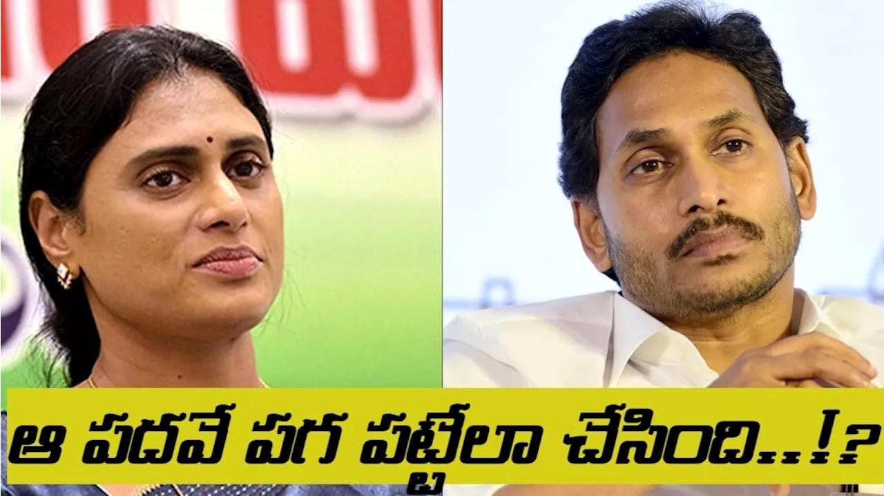 YS JAGAN vs SHARMILA :జగన్,షర్మిల మధ్య అసలు పంచాయితీ ఇదే.. ఆ పదవి వల్లే చిచ్చు!