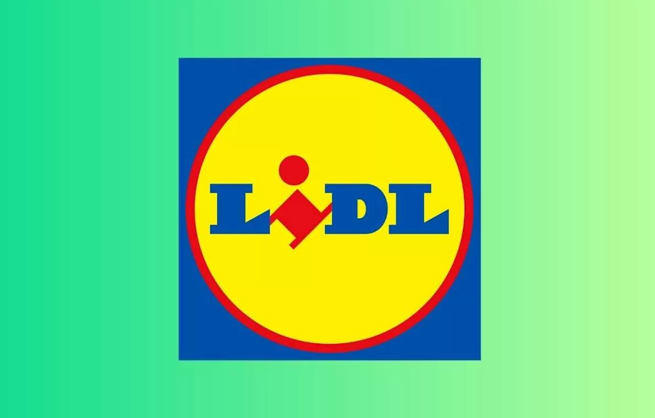 Lidl : Moins de 120 euros pour ce robot de cuisine très demandé