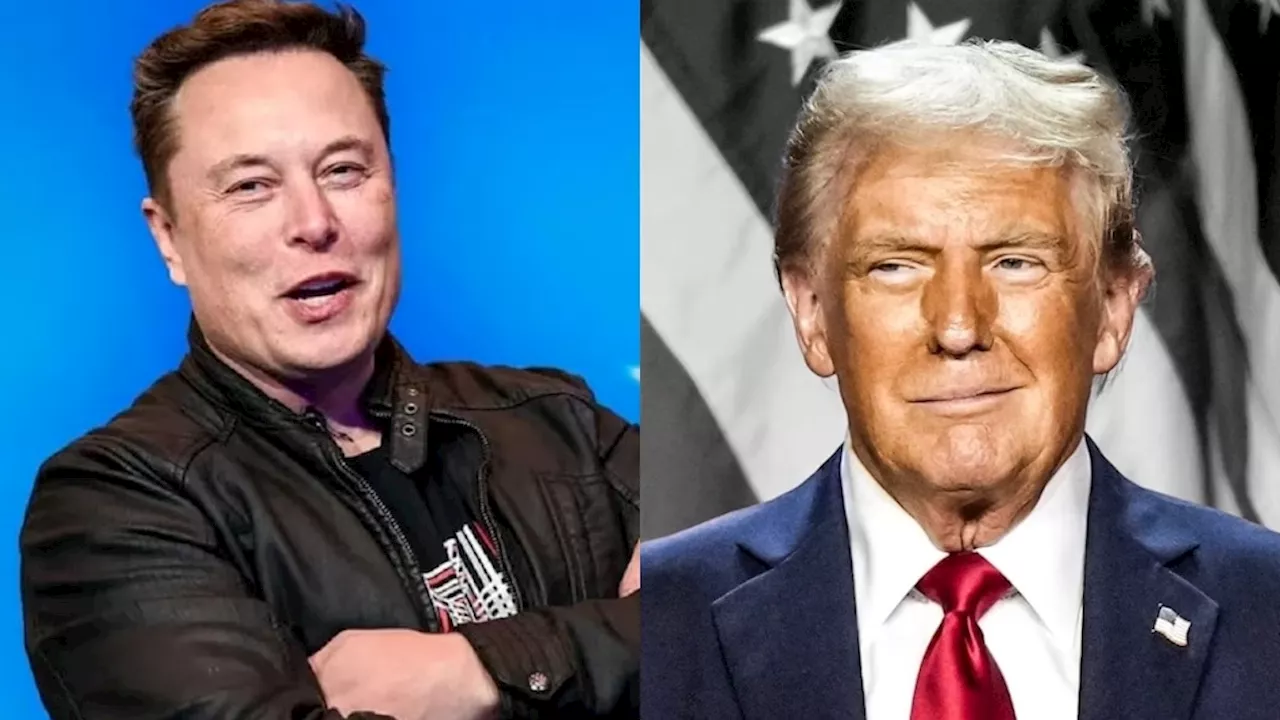 Donald Trump जीते... तो Elon Musk पर होने लगी पैसों की बारिश, झटके में 300 अरब डॉलर के पार नेटवर्थ