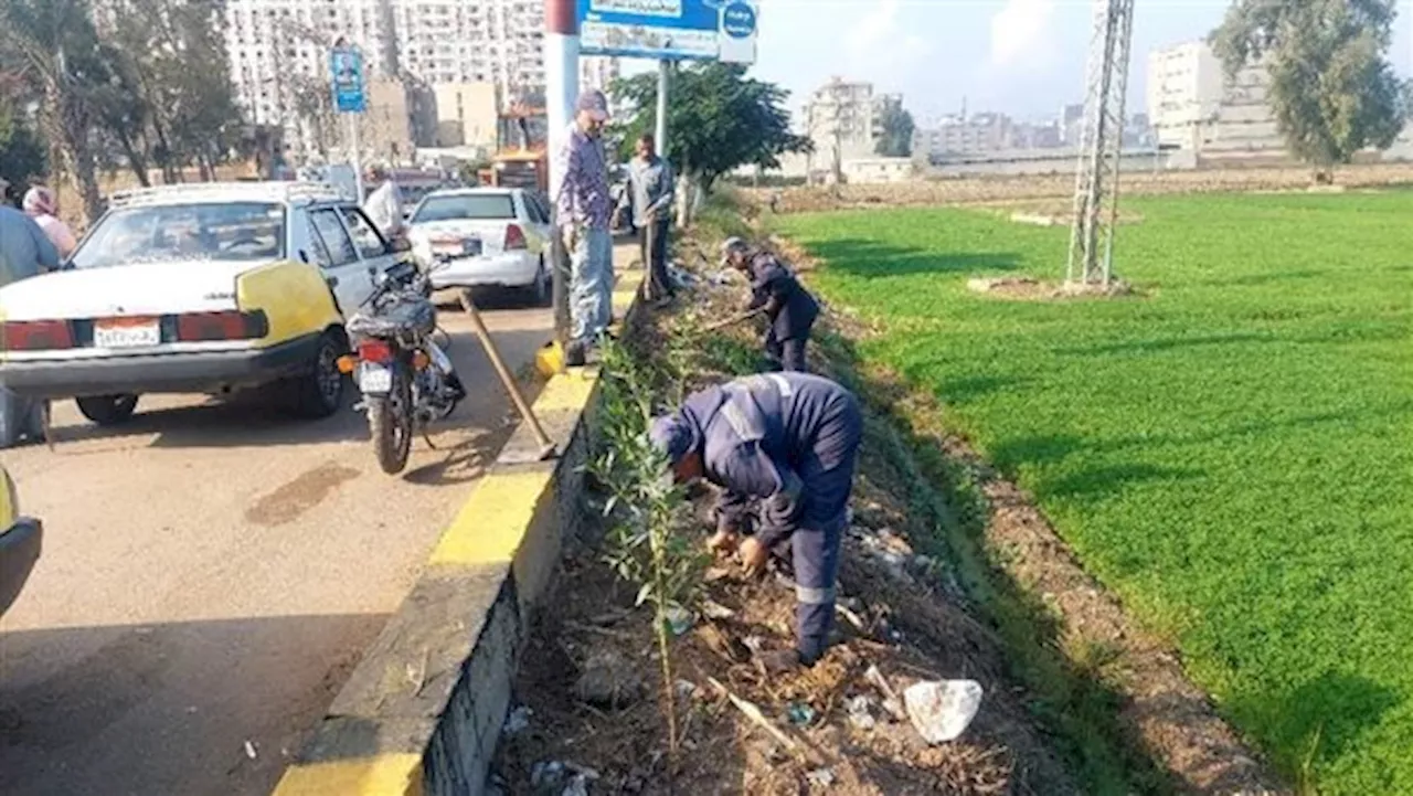 محافظ كفر الشيخ: استمرار زراعة الأشجار بدسوق