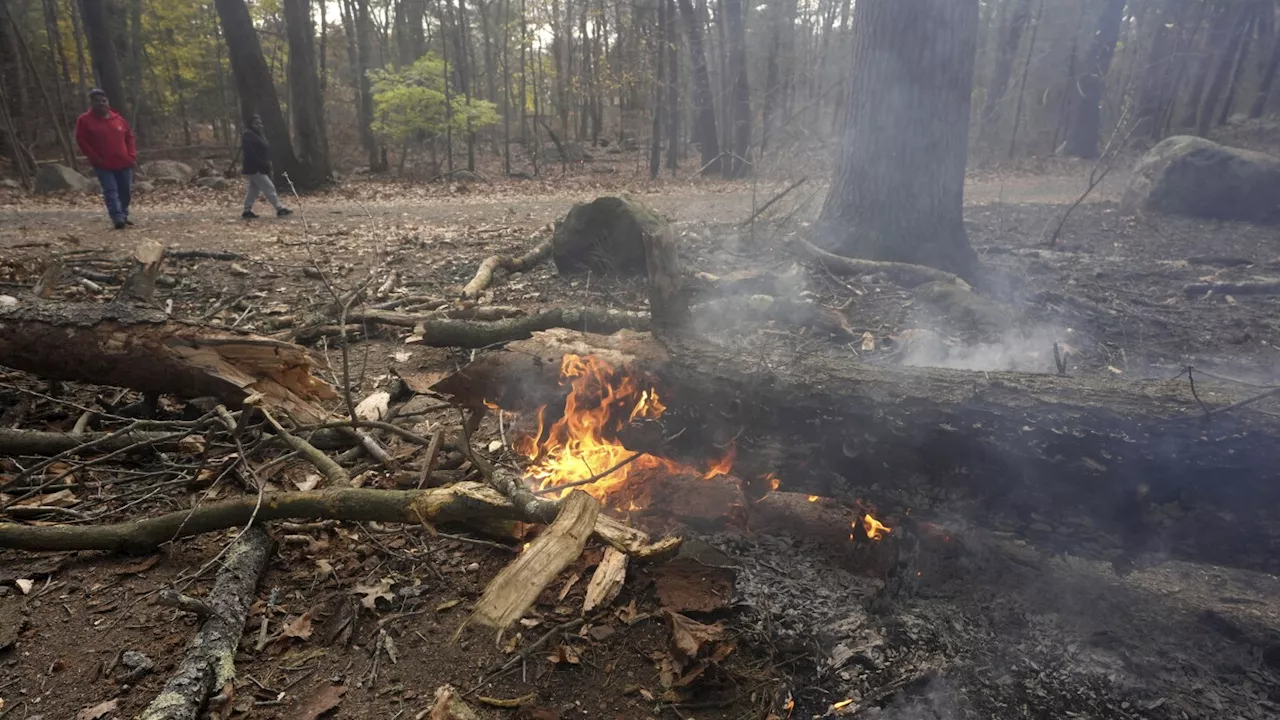 Forest ranger dies fighting fires; air quality warnings issued in New York, New Jersey