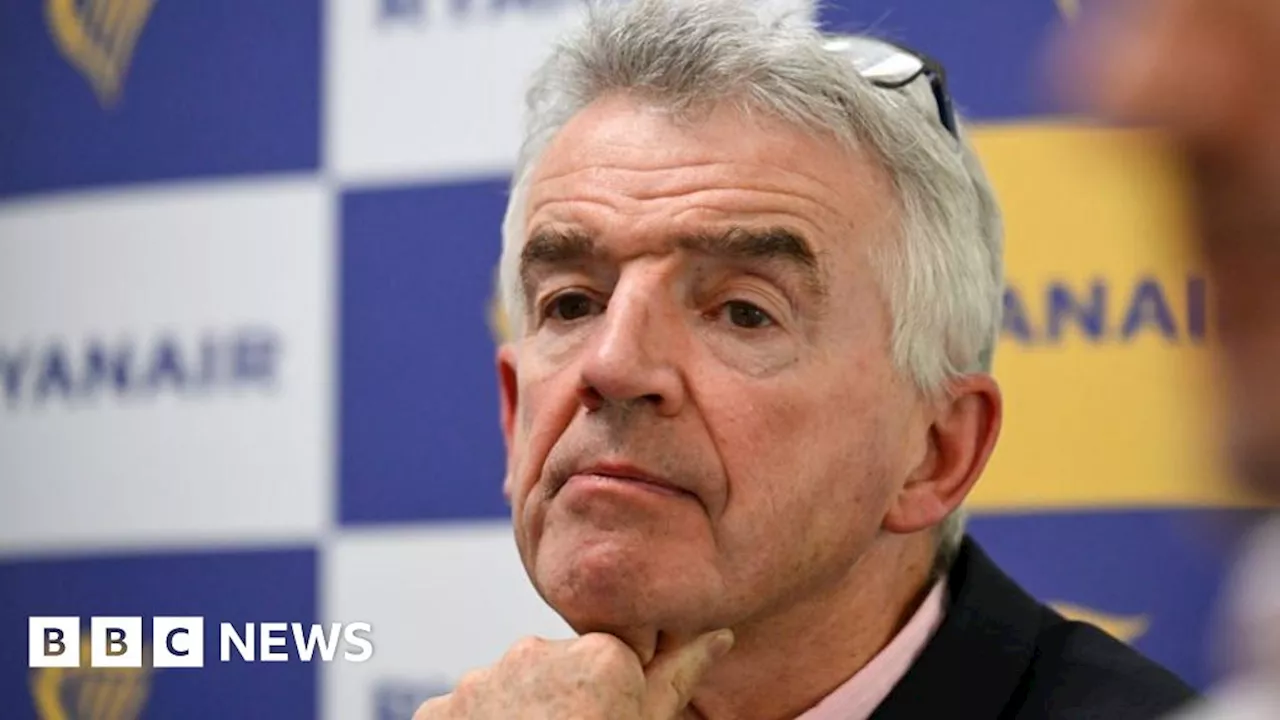 Fine Gael criticised over Ryanair boss O'Leary's teacher remarks