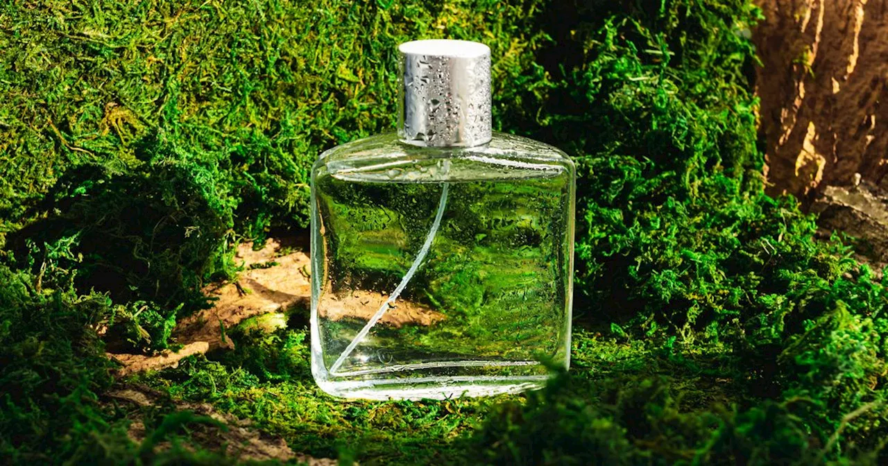 Parfum-Wunder: Dieser Duft soll Stress reduzieren