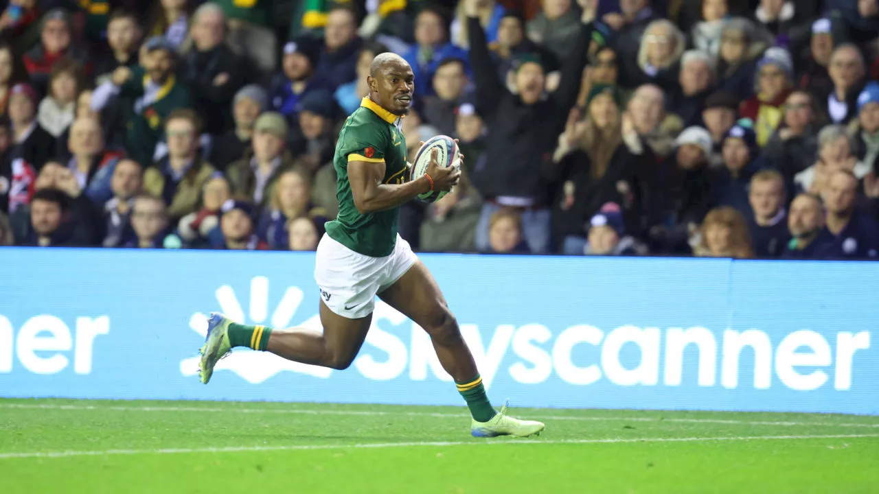 Mapimpi double secures Springboks' victory over fired-up Scotland