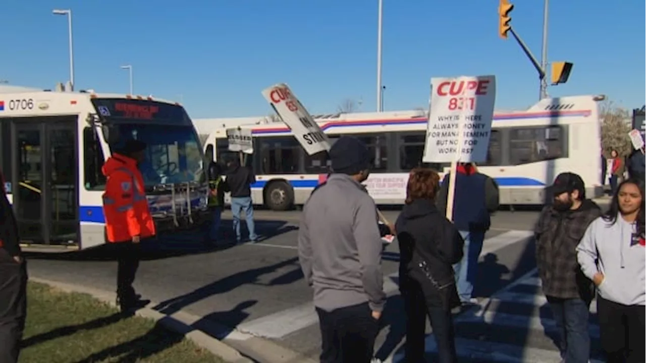 Brampton bus service partially returns as city employees continue to strike