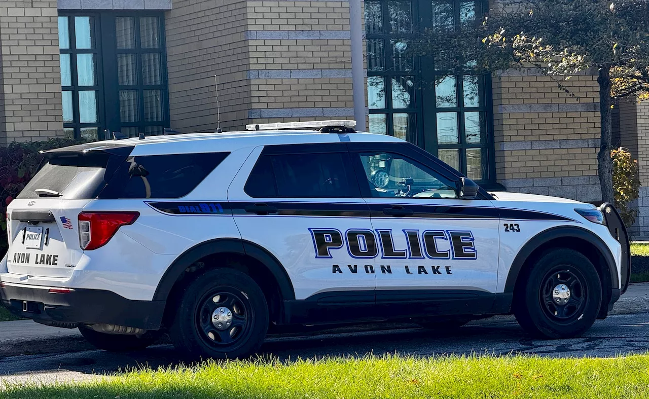 Suspect charged with menacing by stalking after disturbance: Avon Lake police blotter