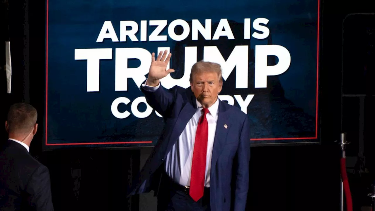 Elezioni Usa, Trump vince anche l'Arizona (ma non ne conquista il seggio al Senato)