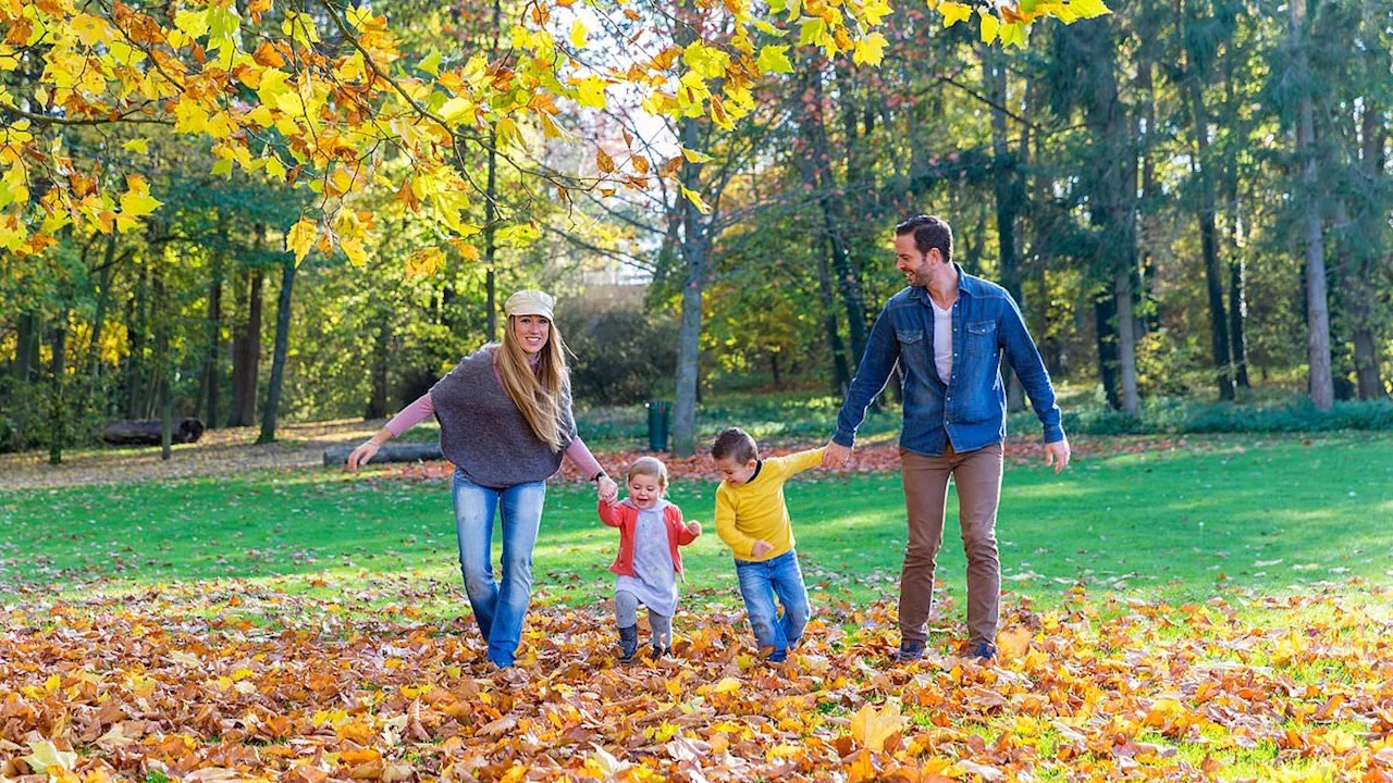 Parents barely notice their last child has gone by the time they leave the nest, study shows