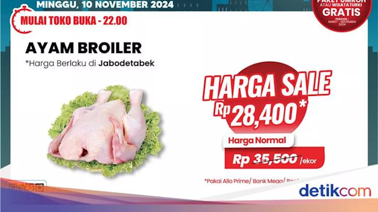 Ayam Broiler Murah Meriah di Transmart Full Day Sale!