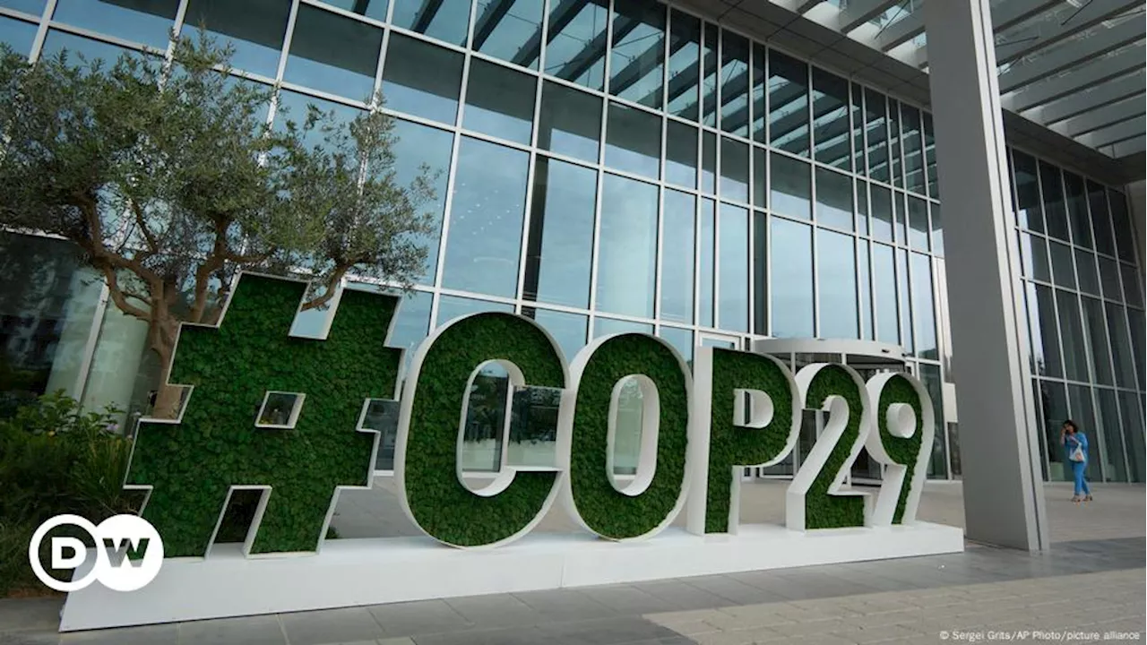 ФРГ представлена на COP29 в Баку четырьмя министерствами