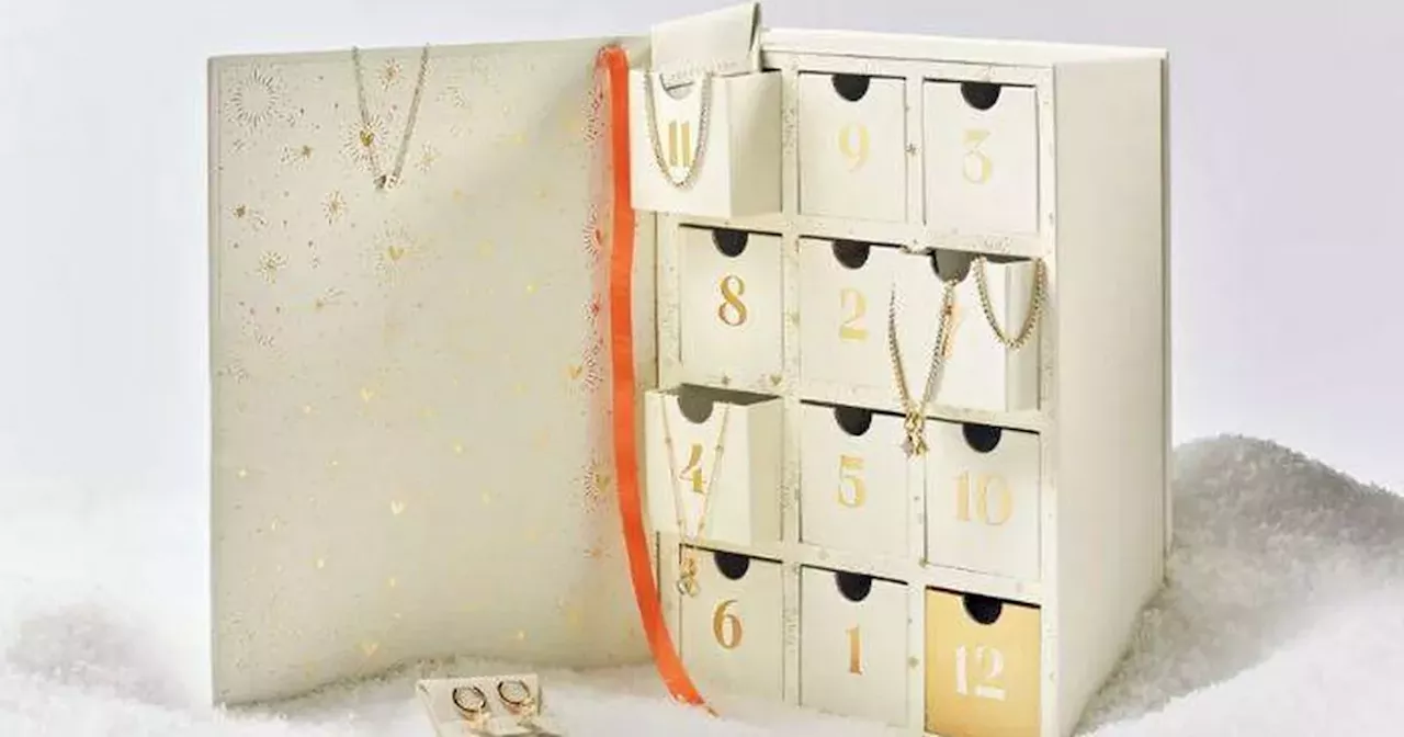 New Abbott Lyon advent calendar has £201 worth of free luxury jewellery inside